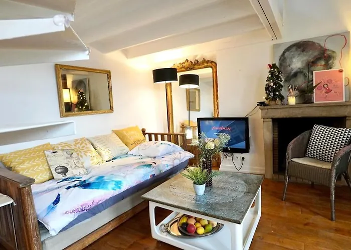 08 Grand Loft Near Notre Dame * Париж